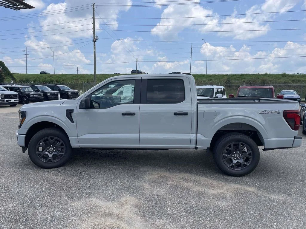 New 2026 Gray Ford STX image 6