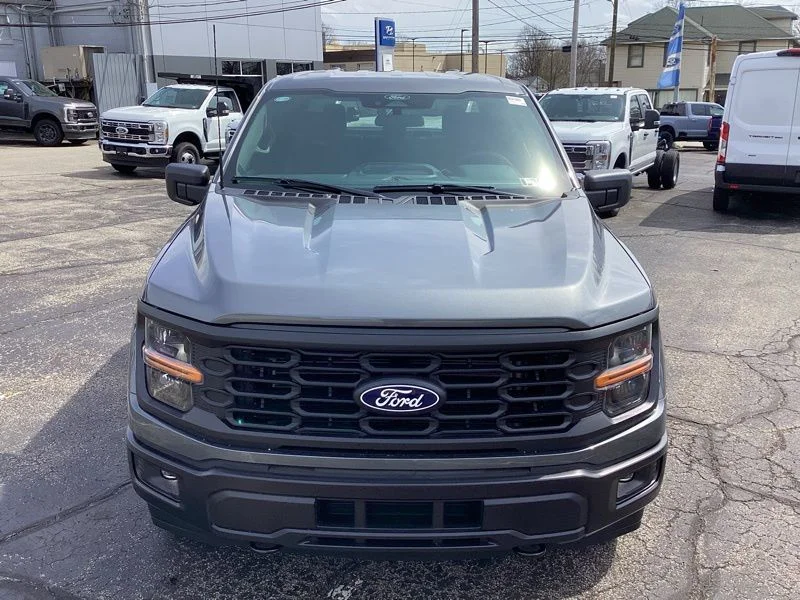 New 2026 Gray Ford STX image 3