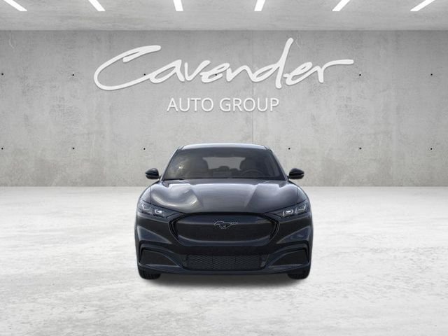 New 2026 Shadow Black Ford Premium image 7