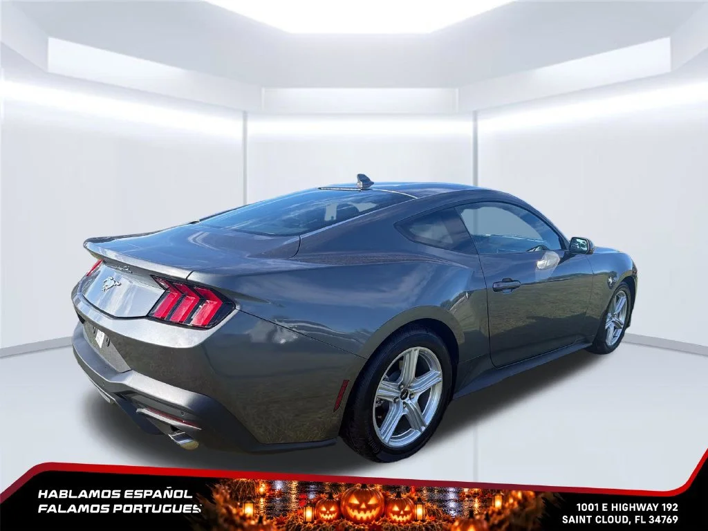 Used 2026 Gray Ford EcoBoost Premium Fastback image 5