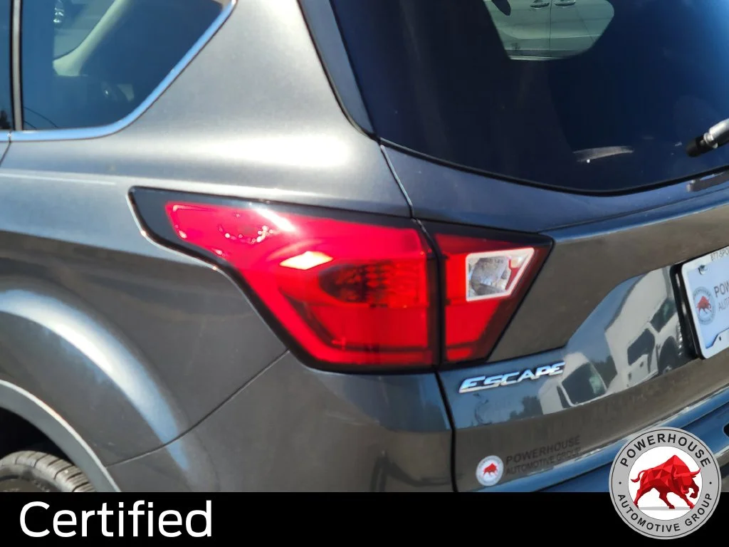 Used 2019 Gray Ford Titanium image 13