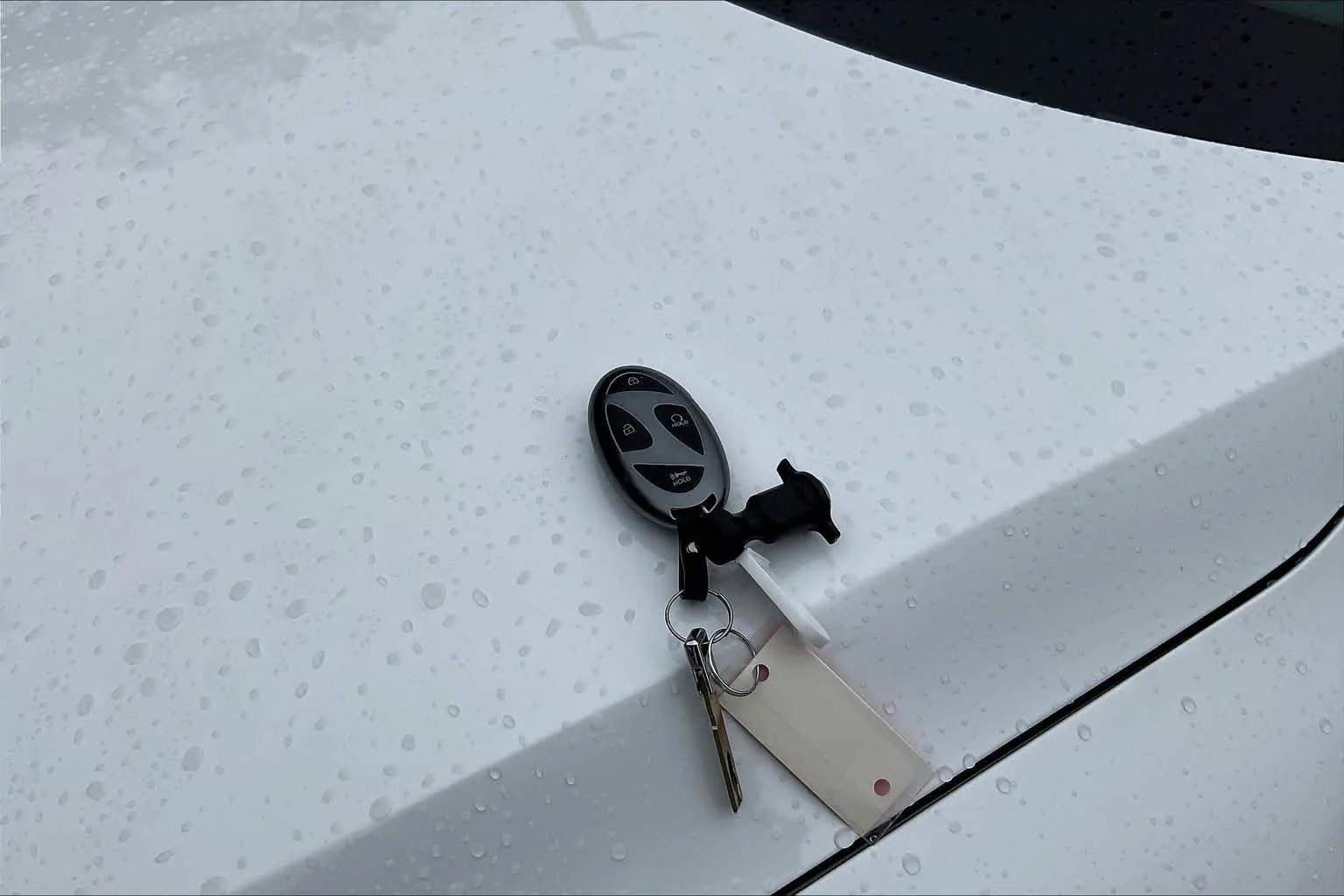 Used 2025 Atlas White Hyundai SE image 14