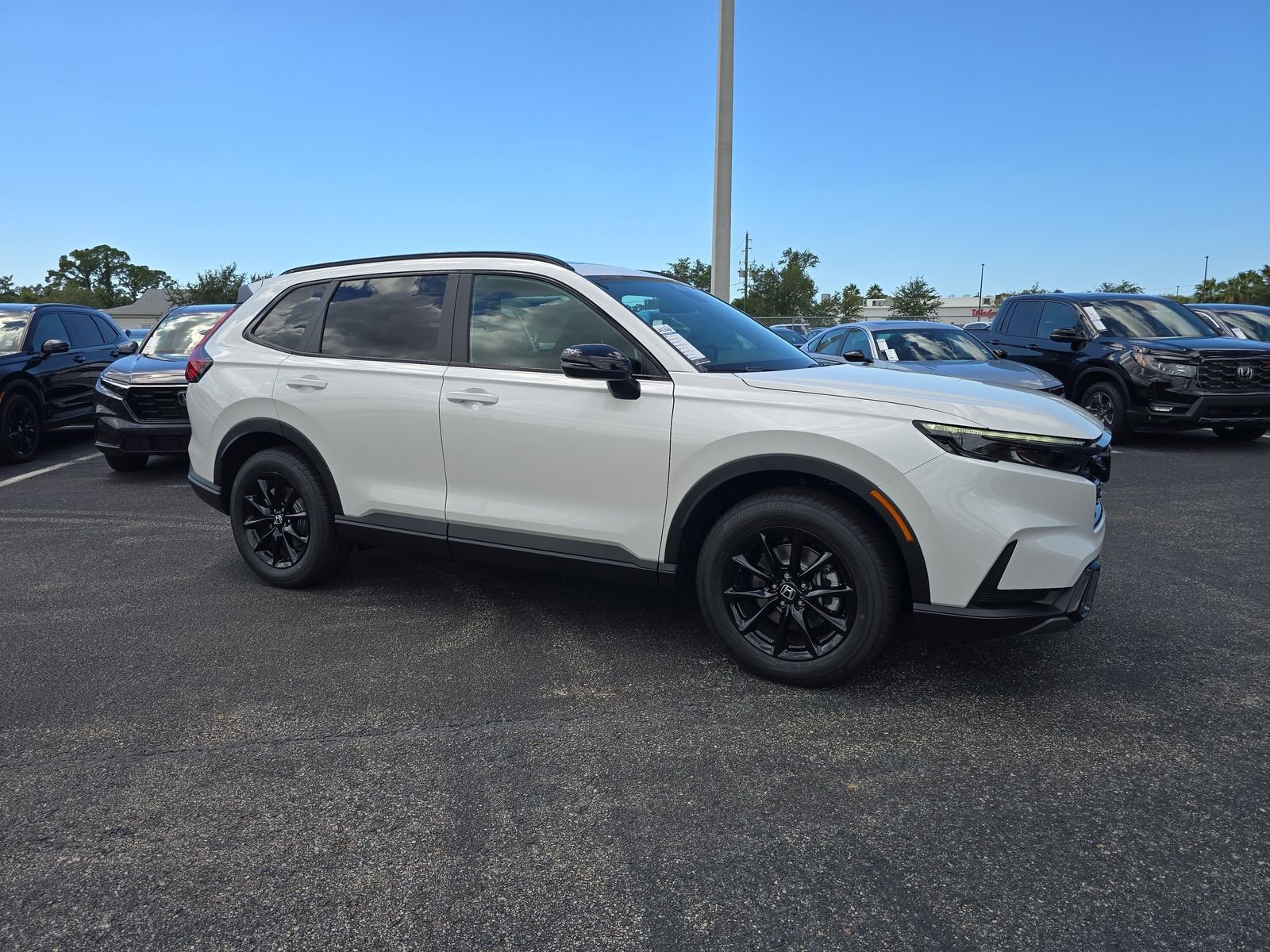 New 2026 Platinum White Pearl Honda Sport image 2
