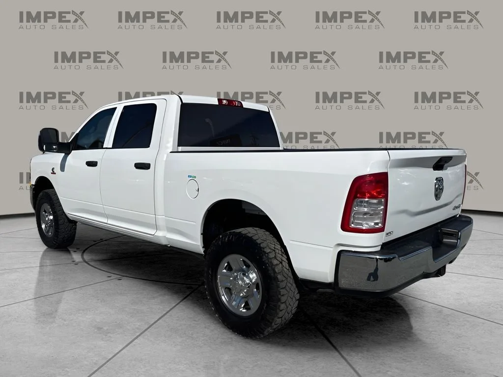 Used 2023 White Ram Tradesman image 3