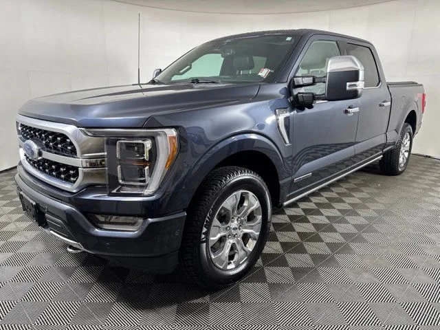 Used 2022 Quartz Metallic Ford Platinum image 8