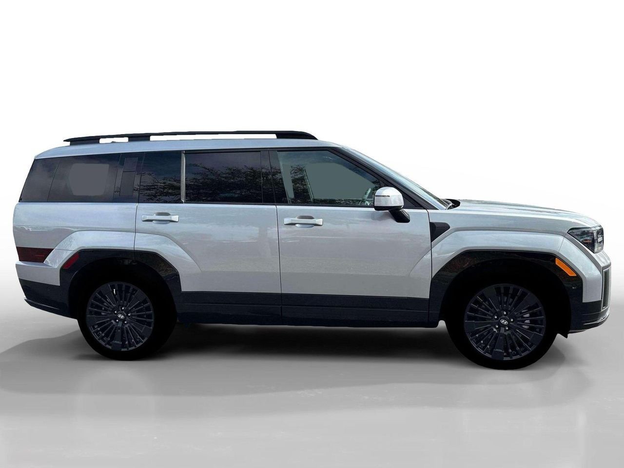 New 2026 Shimmering Silver Hyundai Calligraphy image 27