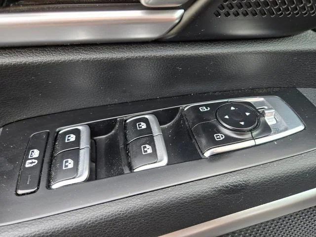 Used 2025 Panthera Metal Kia S image 36