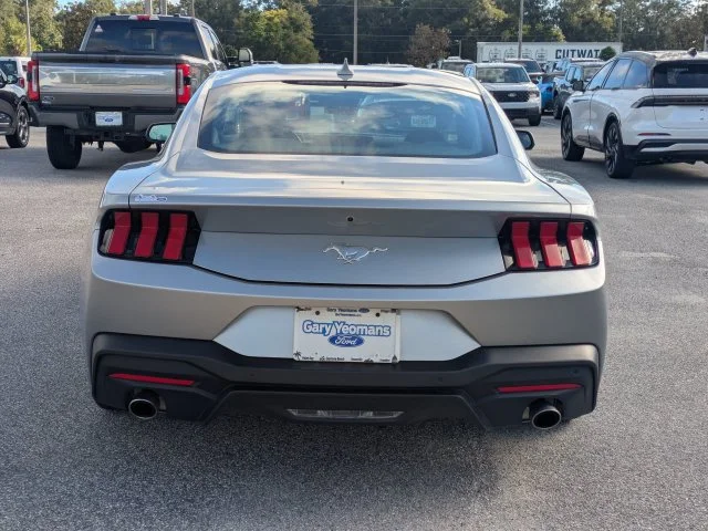 Used 2025 Silver Ford EcoBoost image 5
