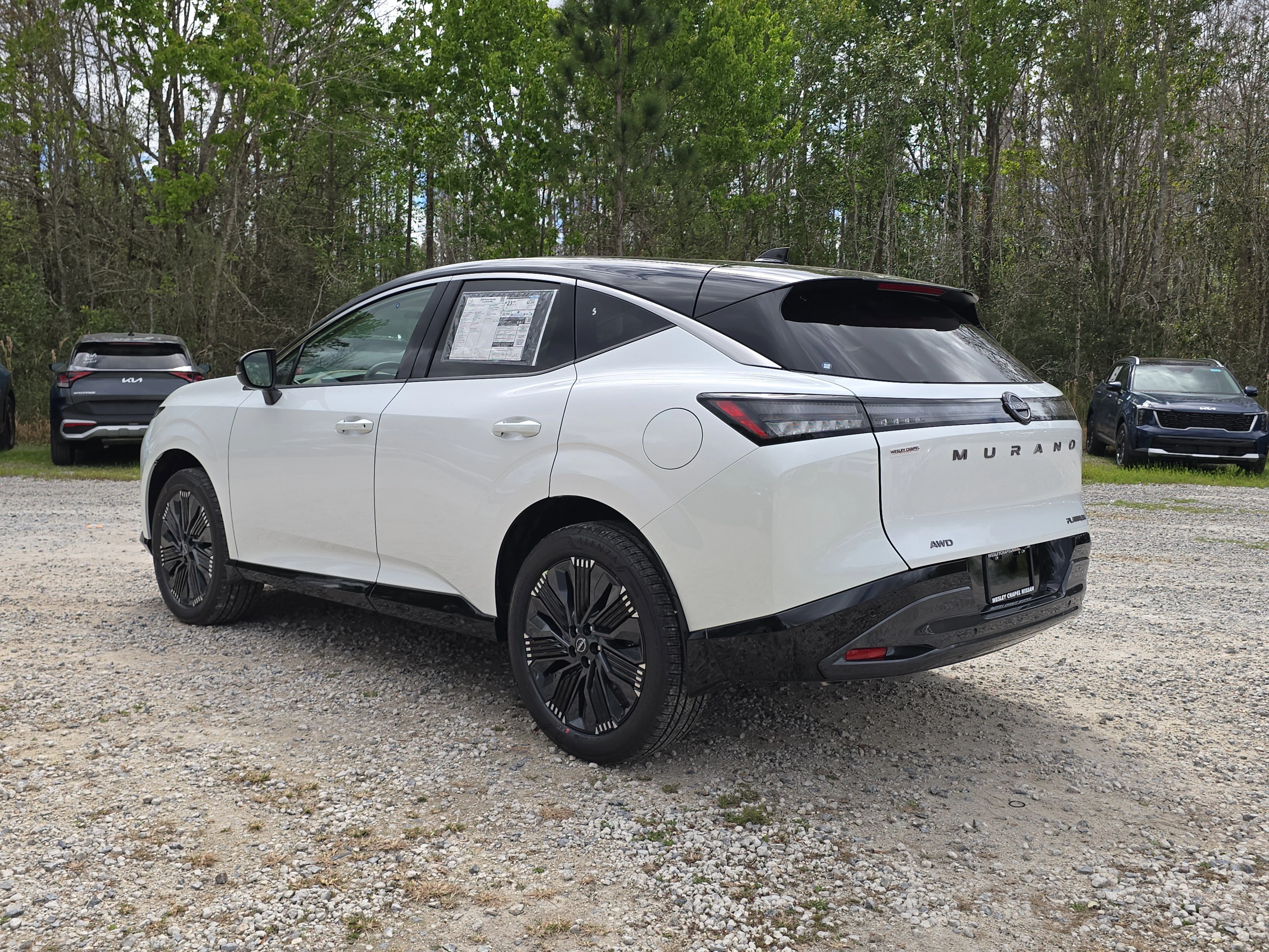 New 2026 Everest White Pearl TriCoat / Super Black Two-tone Nissan Platinum image 6