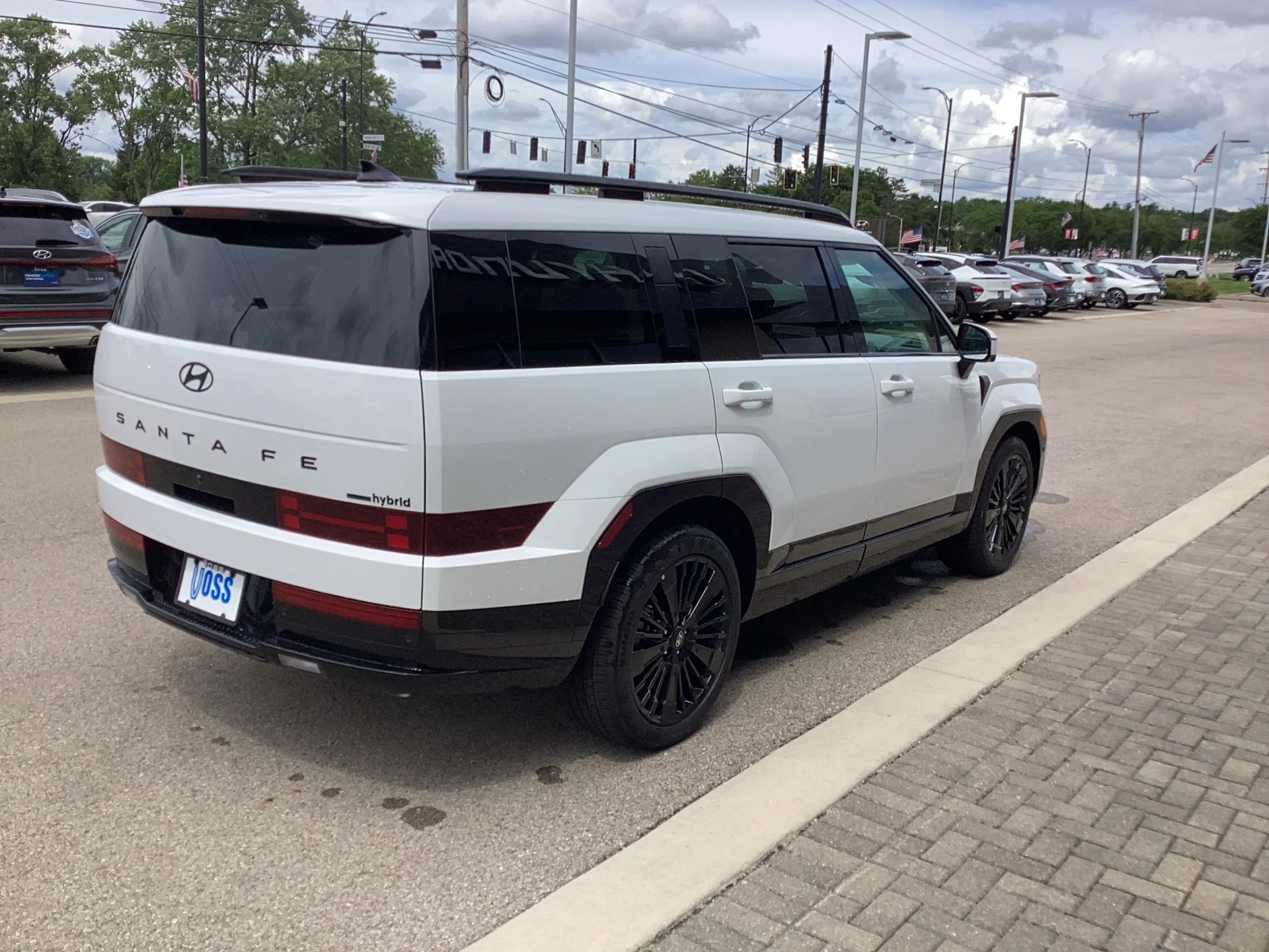 New 2026 Serenity White Pearl Hyundai Calligraphy image 11