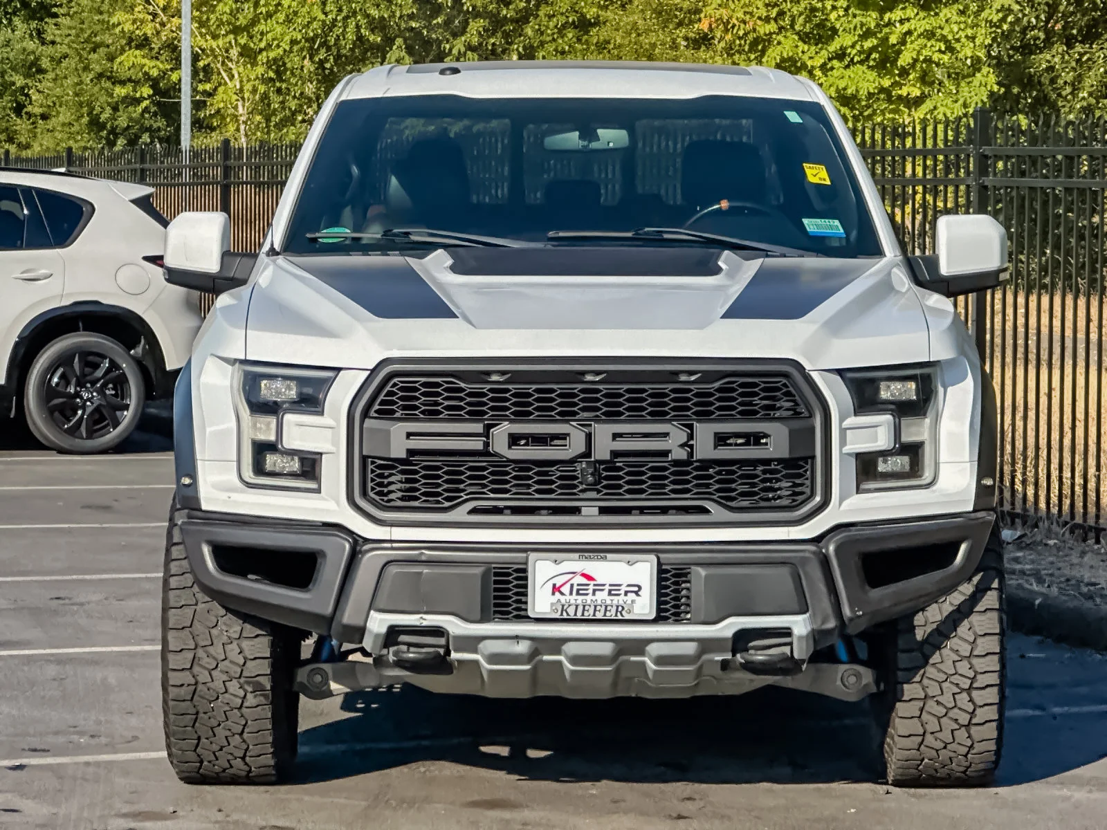 Used 2018 White Ford Raptor image 9