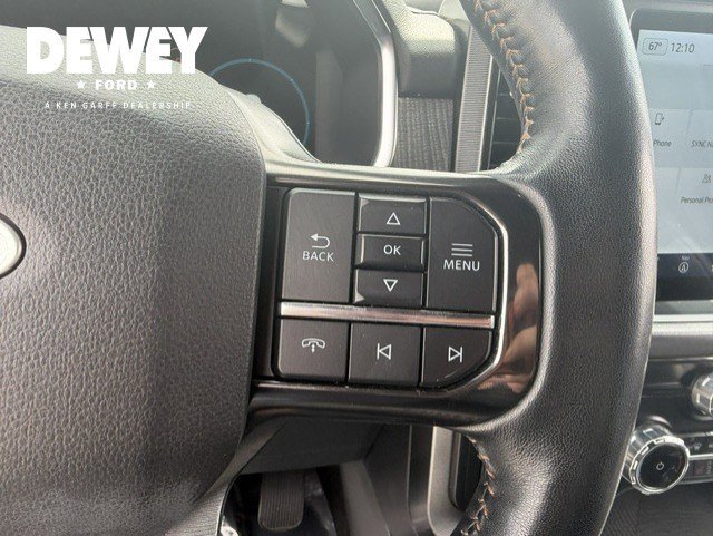 Used 2022 Black Metallic Ford Platinum image 19