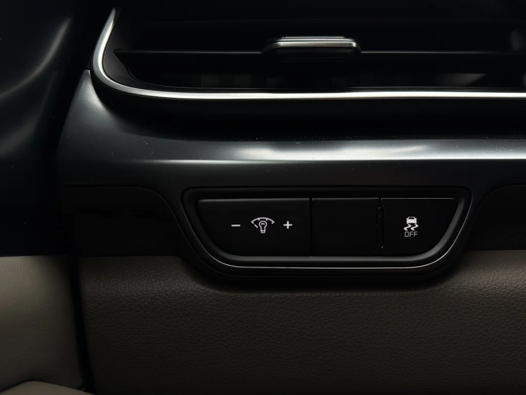 Used 2025 Panthera Metal Kia LXS image 18