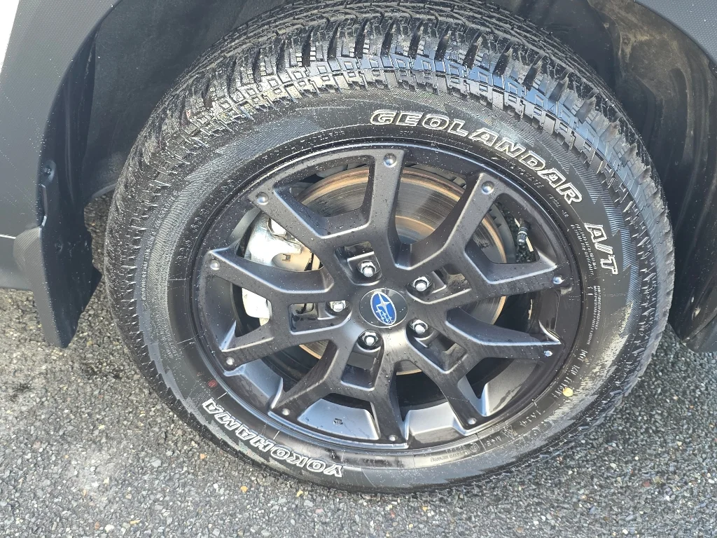 2025 Subaru Crosstrek Wilderness - Photo 19