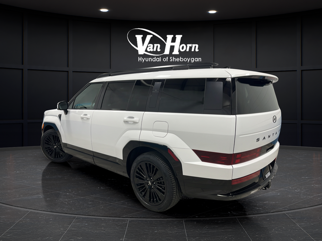 Used 2025 Serenity White Hyundai Calligraphy image 4
