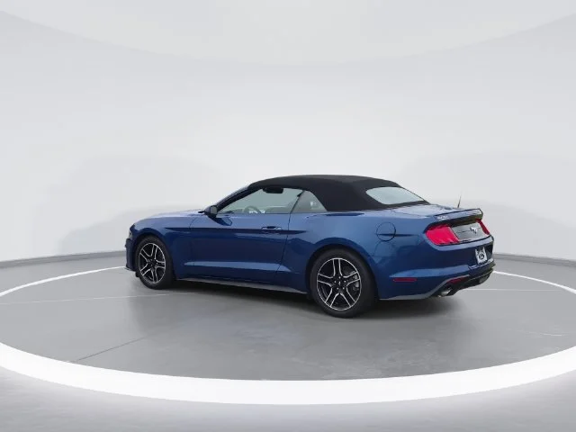 Used 2022 Blue Ford EcoBoost Premium image 5
