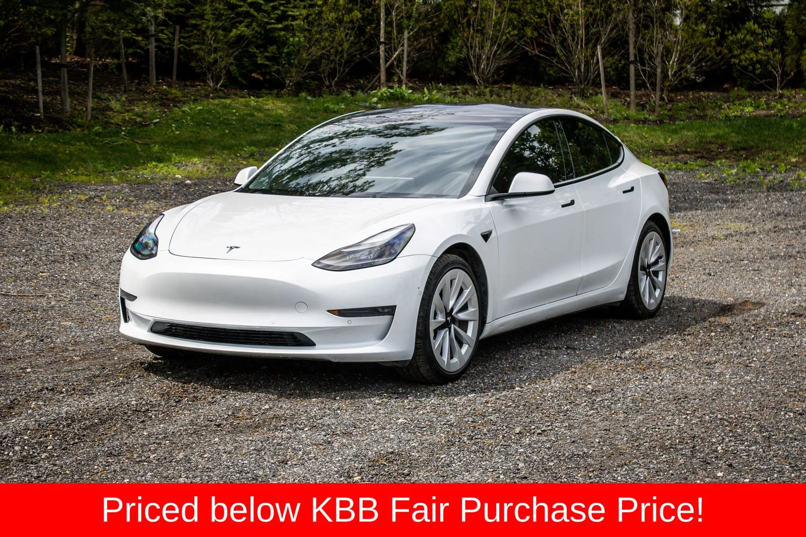 2022 Tesla Model 3 Long Range Dual Motor All-Wheel Drive's photo