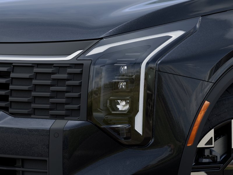 New 2026 Panthera Metal Gray Kia LX image 10