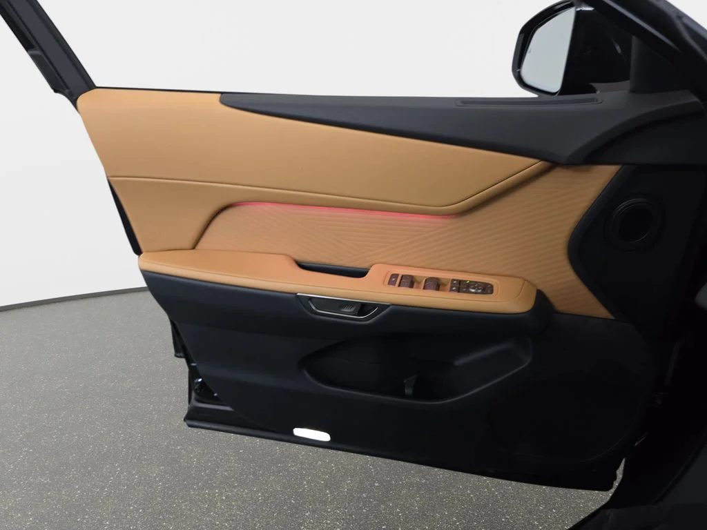 New 2026 Caviar Lexus PREMIUM AWD image 26