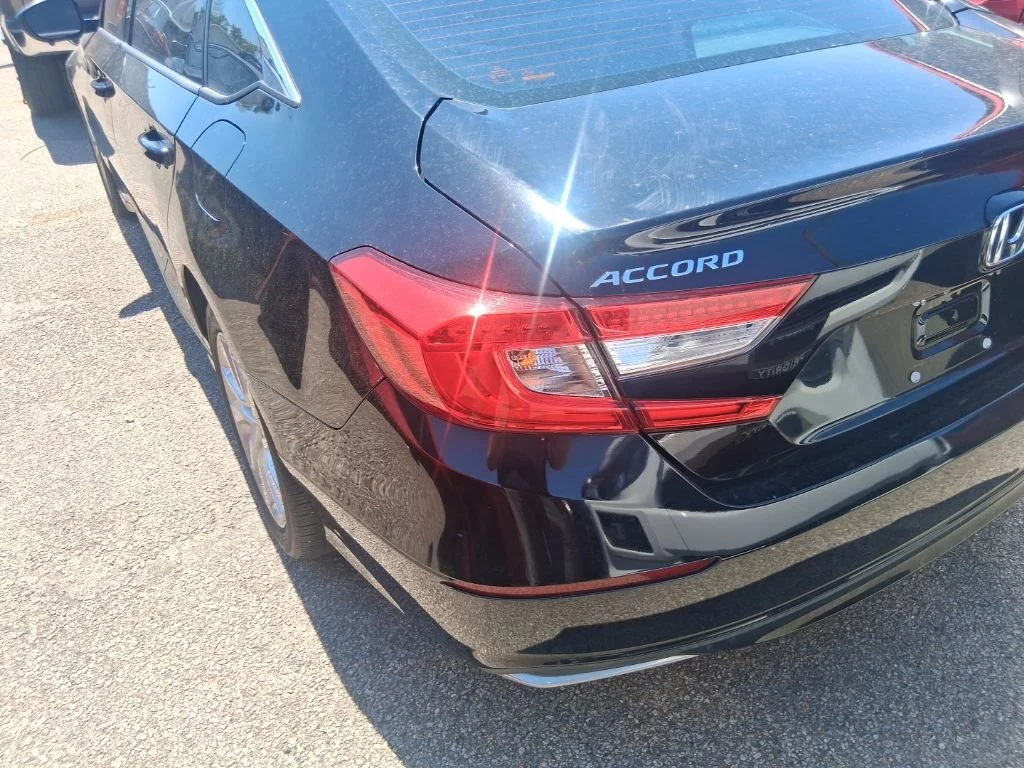 Used 2019 Black Honda LX image 5