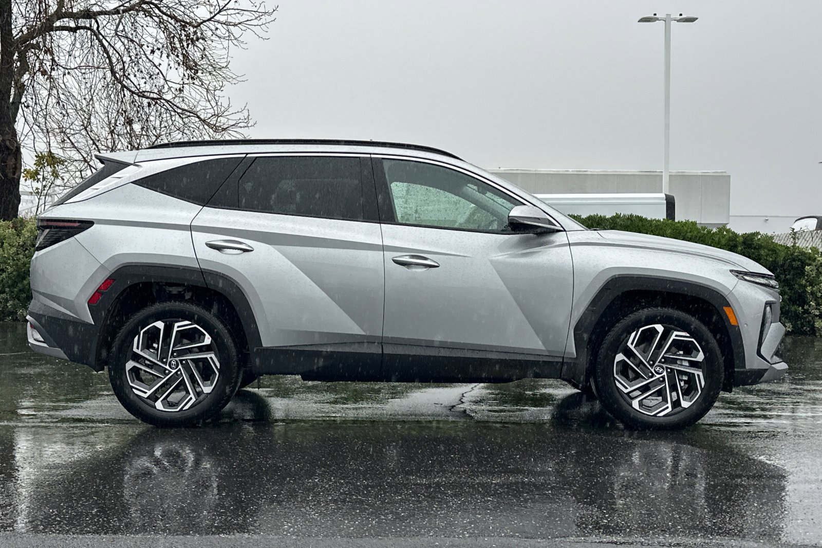 New 2026 Shimmering Silver Hyundai Limited image 3