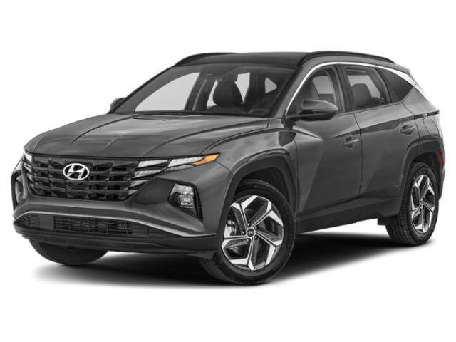 Used 2023 Deep Sea Hyundai SEL Convenience image 4