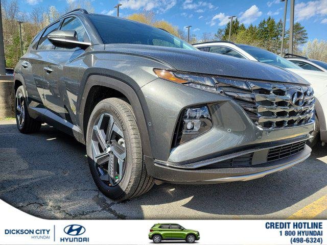 New 2024 Amazon Gray Hyundai Limited image 1