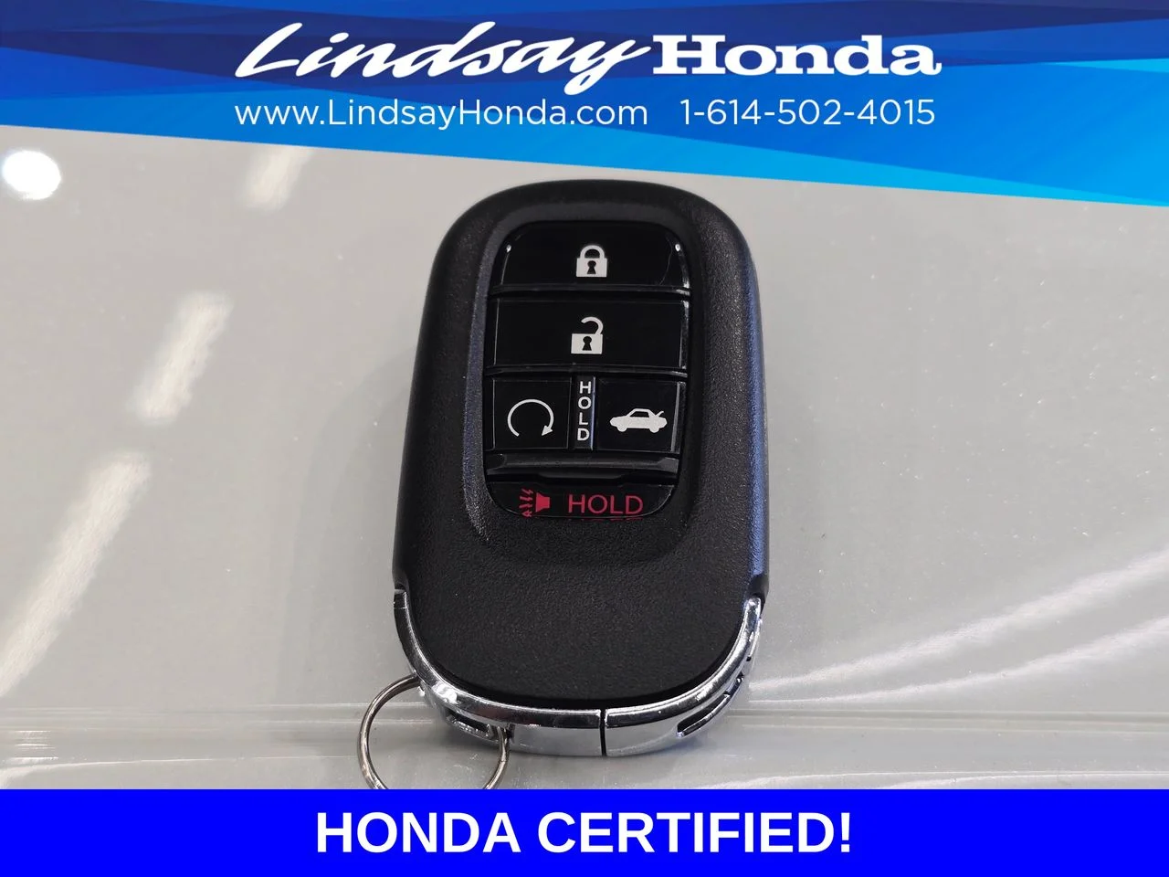 Certified Used 2023 Platinum White Pearl Honda Sport image 24