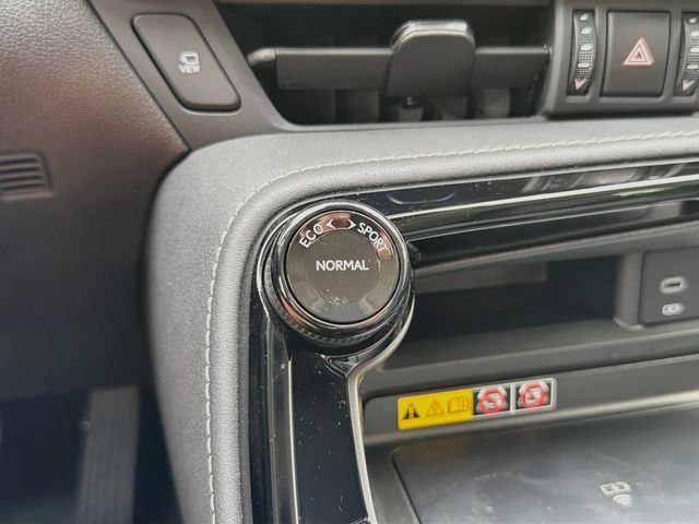 Used 2025 Red Line Lexus NX 350 Luxury image 29
