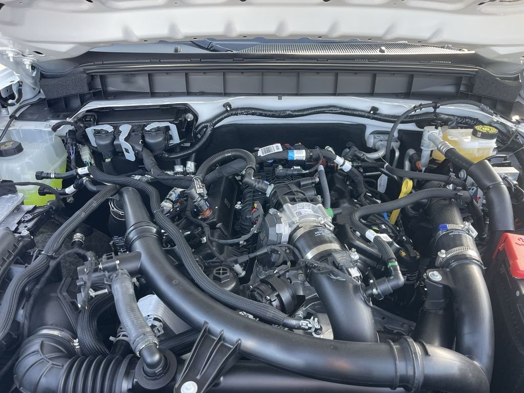 New 2025 Oxford White Ford Stroppe Edition image 31