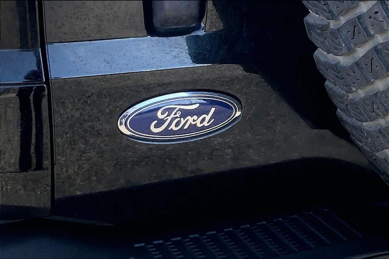 Used 2022 Shadow Black Ford Badlands image 15