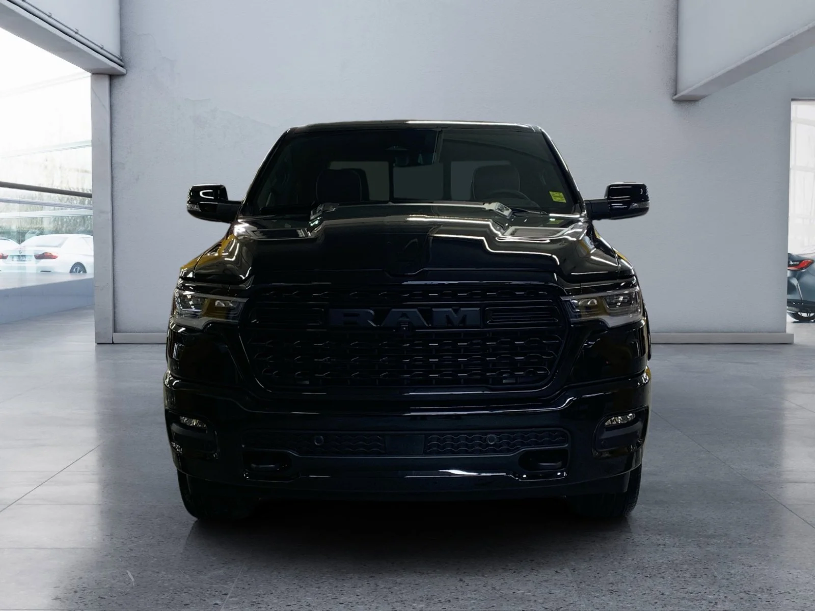 New 2026 Diamond Blk Crystal Pearl Ram Limited image 8