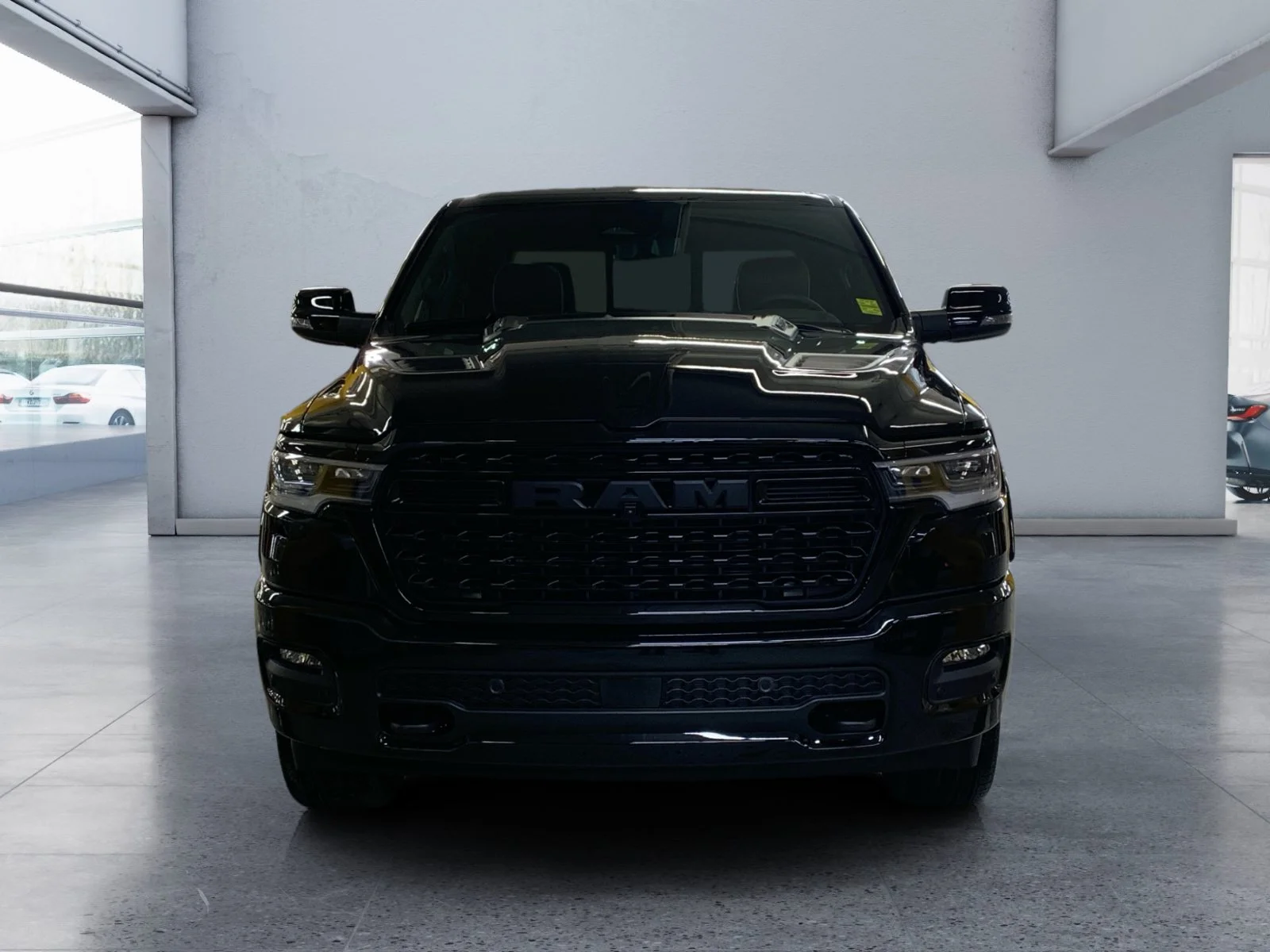 New 2026 Diamond Black Crystal Pearl Ram Limited image 8