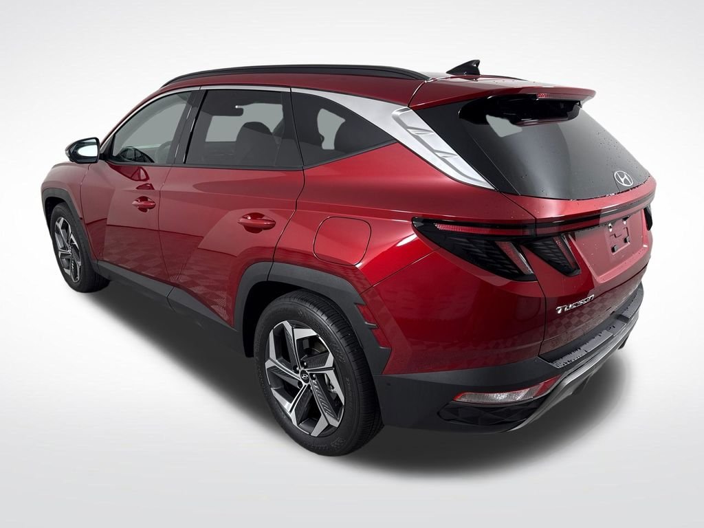 2024 Hyundai Tucson Limited - Photo 6