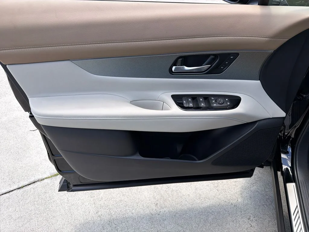 New 2026 Super Black Nissan Platinum image 19