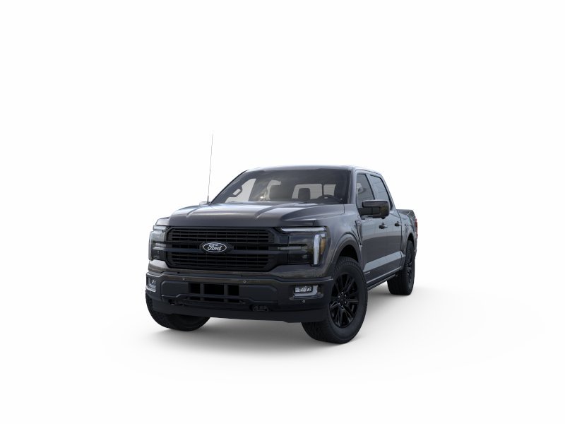 New 2025 Agate Black Metallic Ford Platinum® image 22