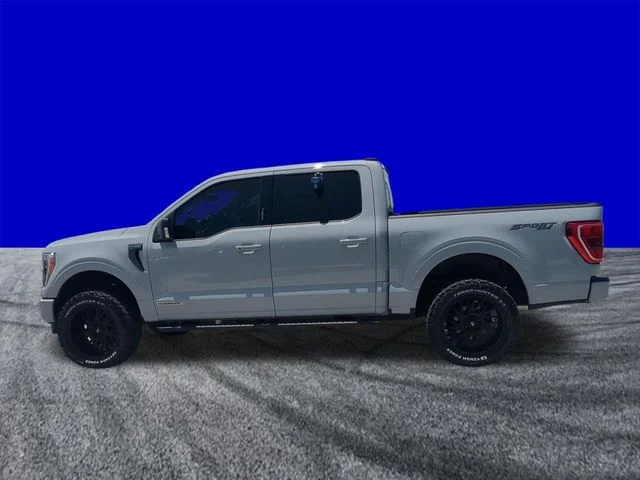 Certified Used 2023 Avalanche Ford XLT image 7