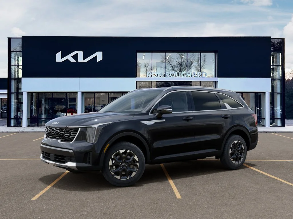 New 2026 PANTHERA METAL Kia S image 3