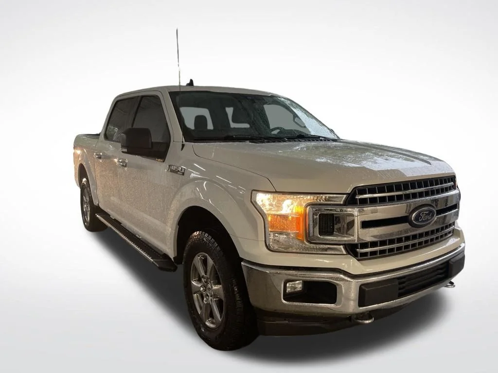 Used 2019 White Ford XLT image 2