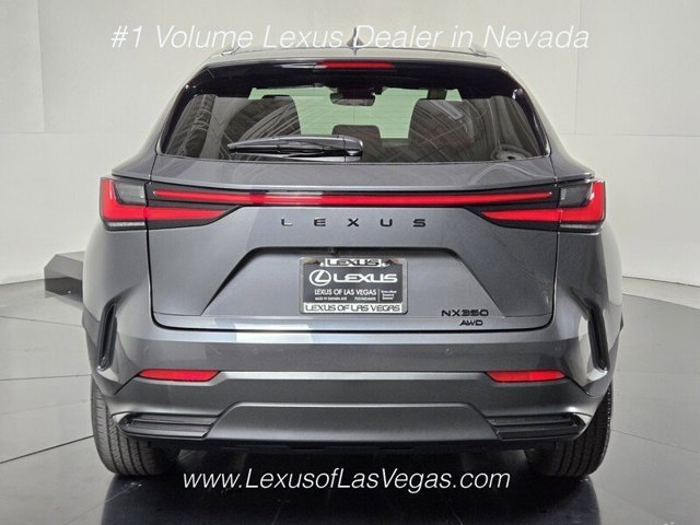 New 2026 Cloudburst Gray Lexus PREMIUM image 12