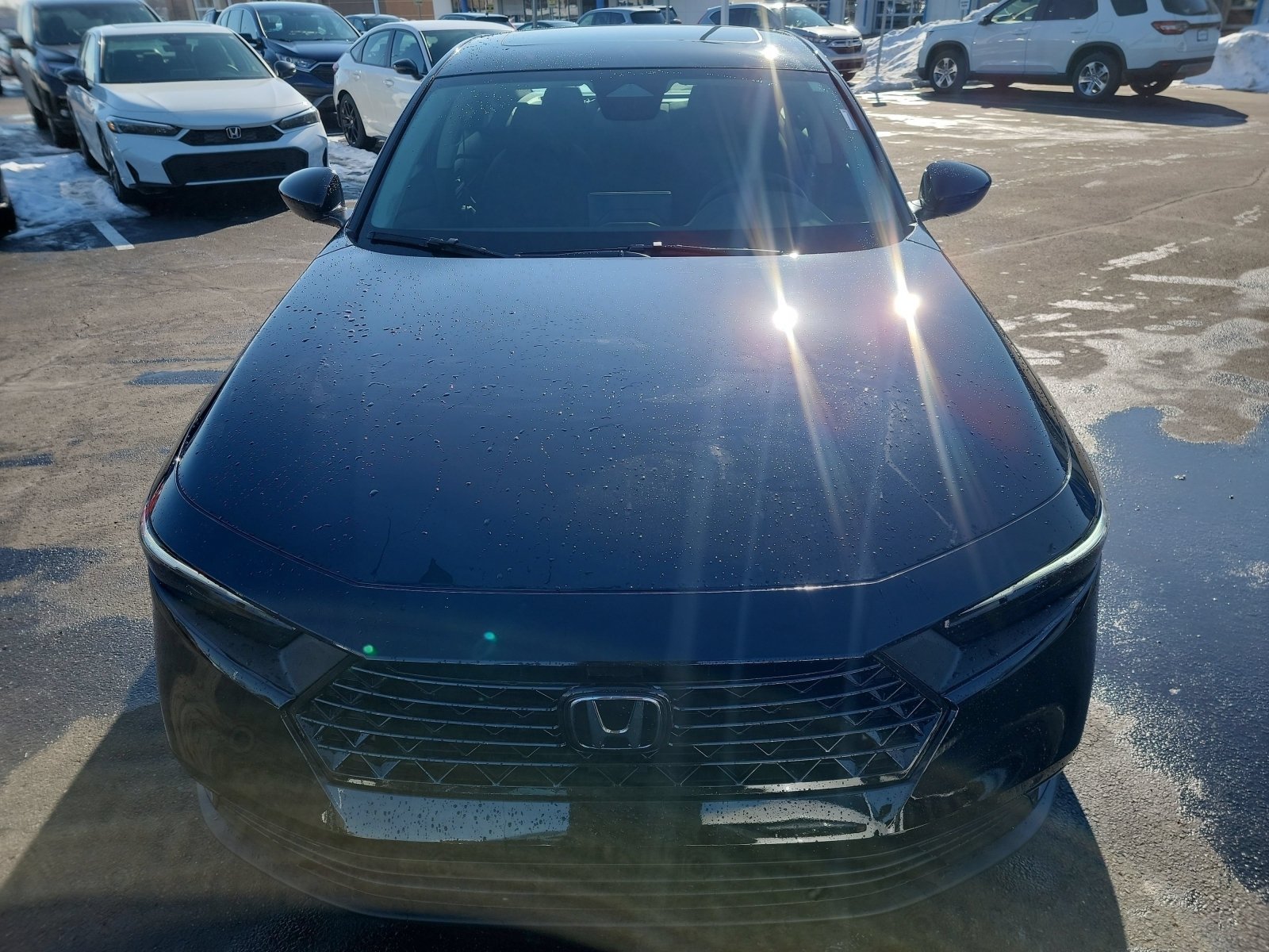 New 2026 Crystal Black Pearl Honda SE image 2