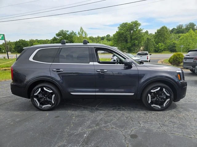 Used 2025 Panthera Metal Kia S image 9