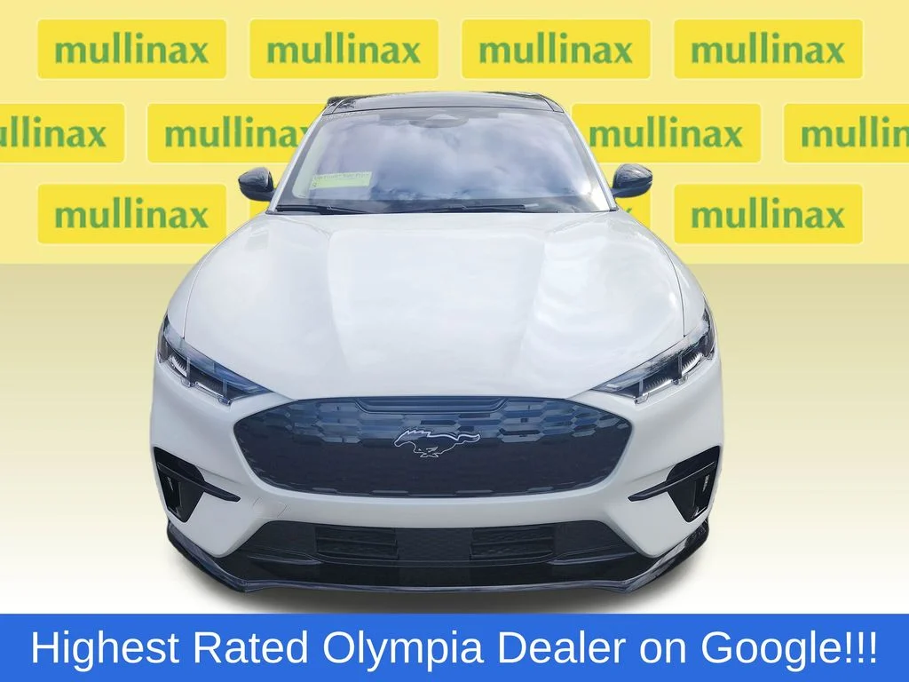 New 2026 White Ford Premium image 12