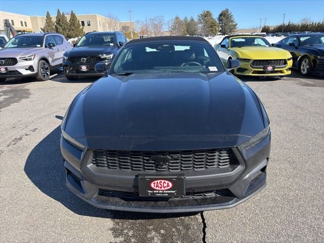 New 2026 Shadow Black Ford EcoBoost® Premium Convertible image 2