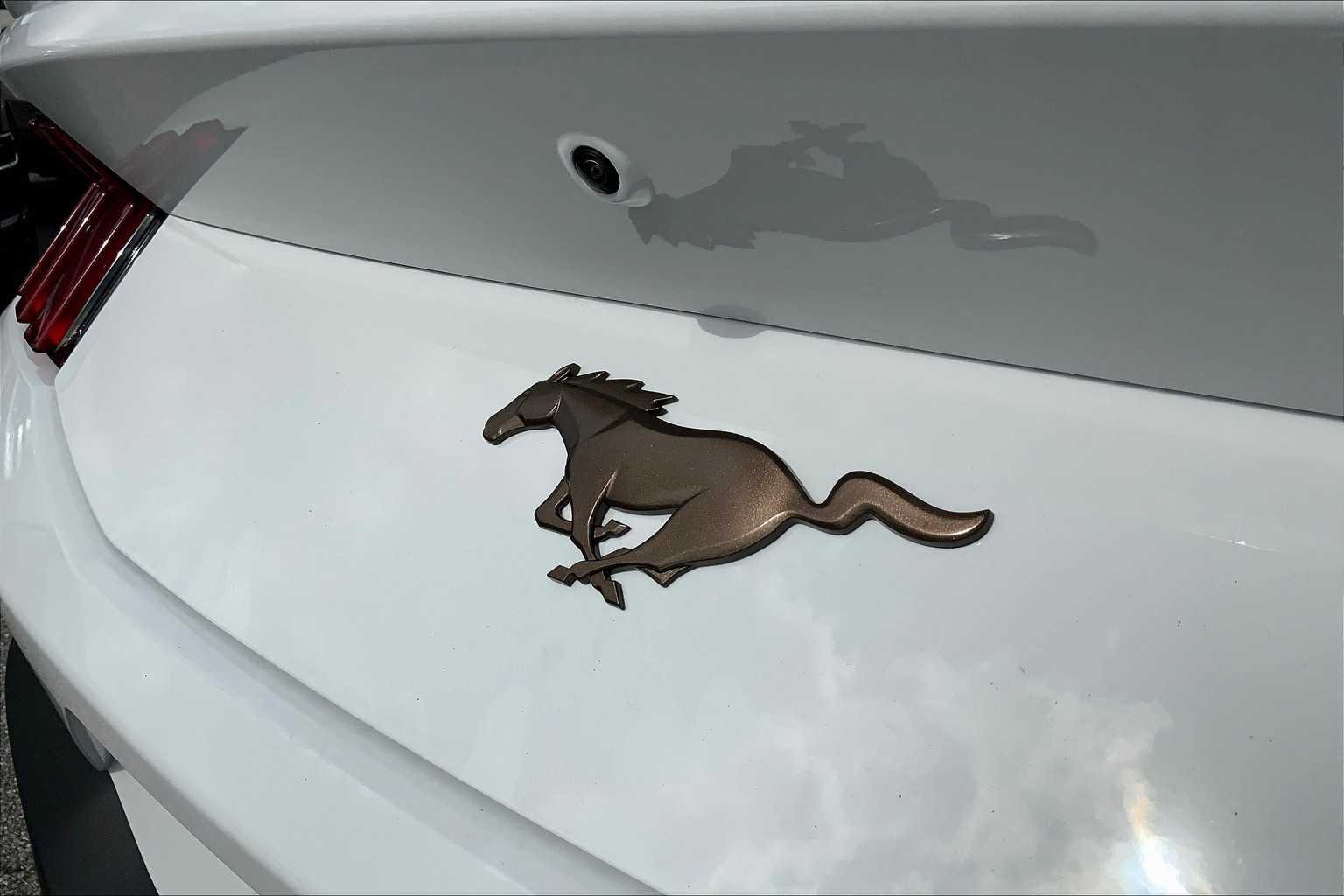 2025 Ford Mustang EcoBoost Premium Fastback - Photo 15