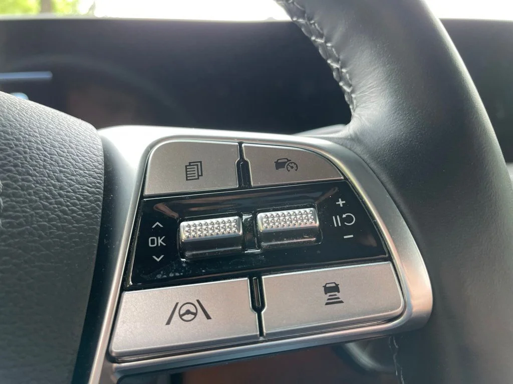 Certified Used 2025 Panthera Metal Kia EX X-Line image 11