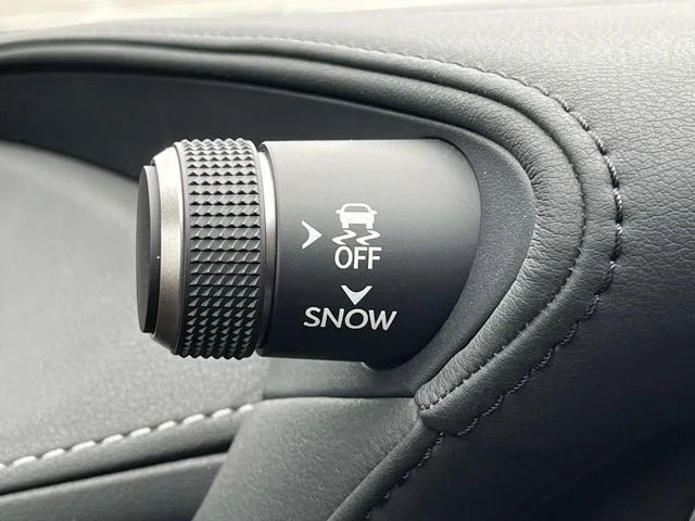 2023 Lexus LS Base - Photo 43