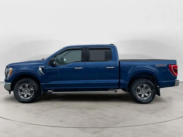 Used 2023 Blue Ford XLT image 2