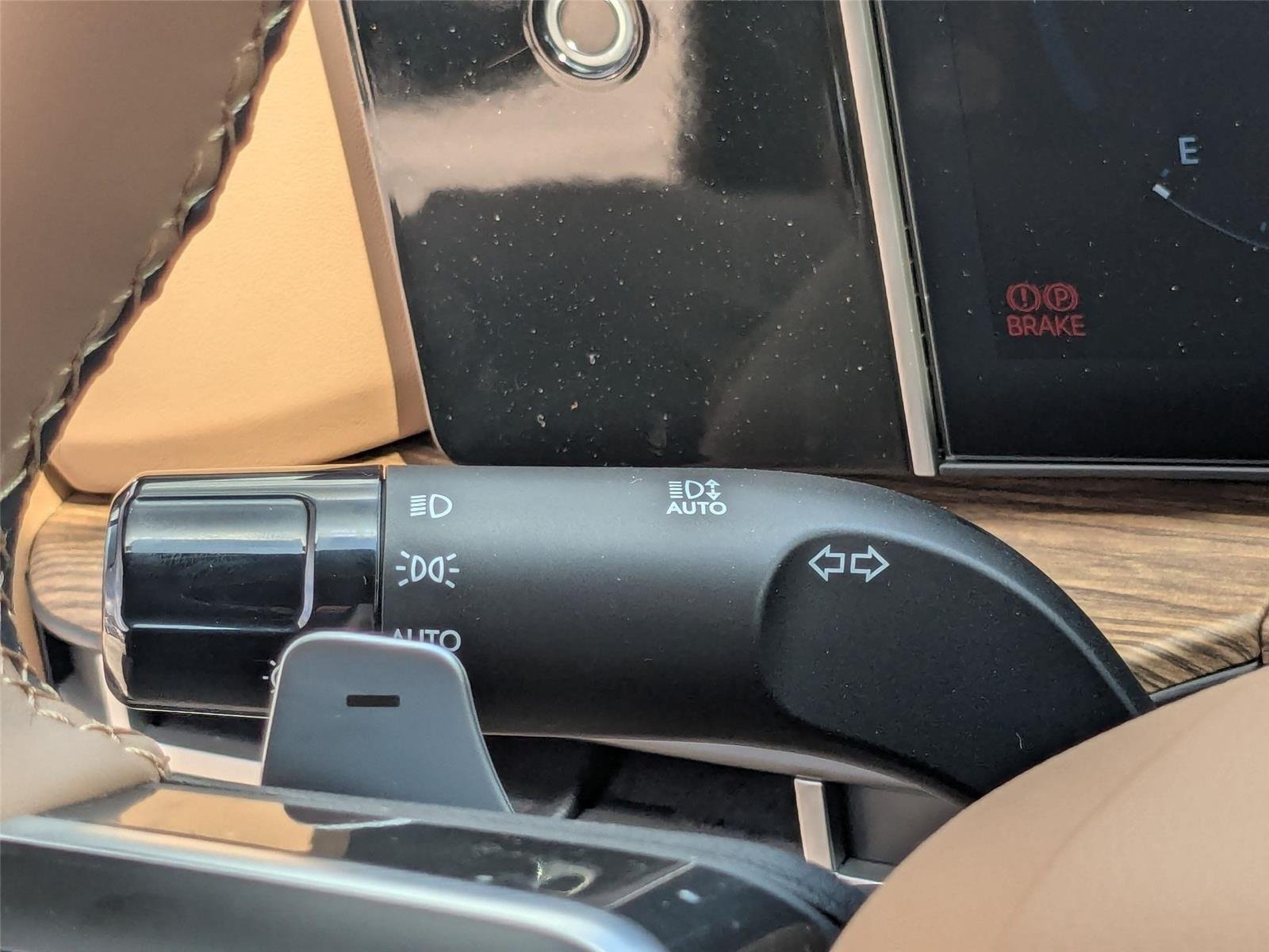 New 2026 Earthy Brass Matte Hyundai Calligraphy image 15