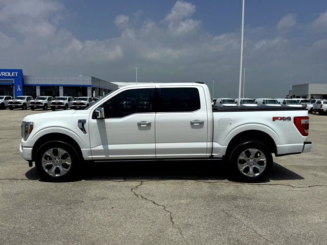 Used 2023 White Ford Platinum image 9